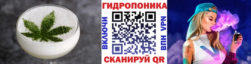 Купить где  Мышкин  Canna-Cookies конопля 