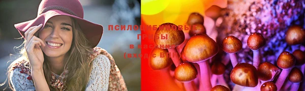 каннабис Каменск-Шахтинский