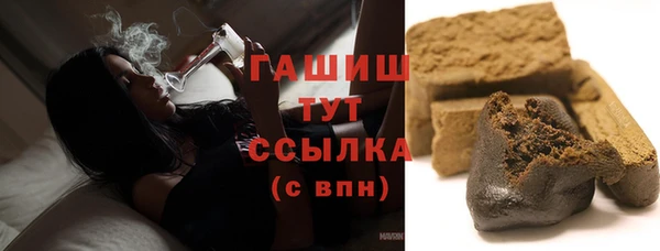 spice Каменка