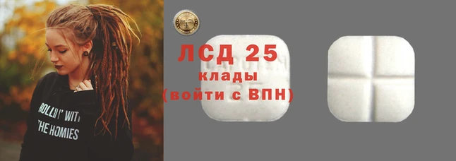 spice Каменка