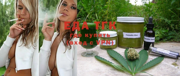 spice Каменка