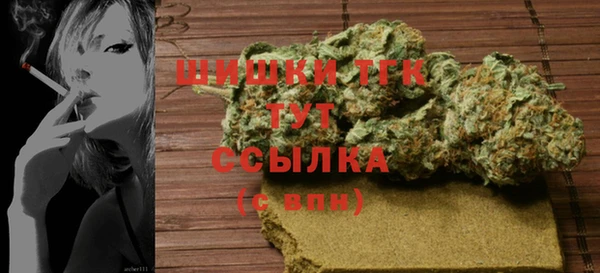 spice Каменка