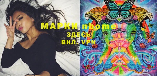 spice Каменка