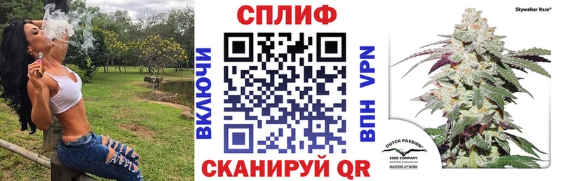Бошки Шишки ГИДРОПОН  Купить где  Мышкин 